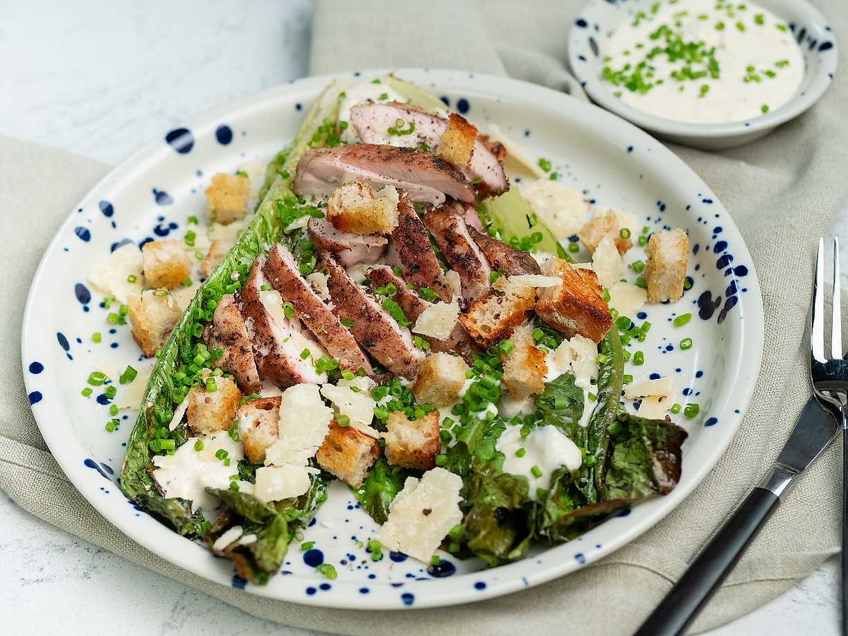 Grillad caesarsallad med kyckling Köket se