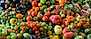 Godaste tomatsorterna – 10 i topp 1