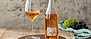 La Spinetta Rosé - Enjoy wine