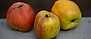 Välj rätt äpple till din trädgård - 3