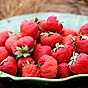 5 söta gubbar som smakar sommar 1