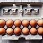 Artikel ägg KRAV eller eko bruna ägg