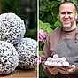 Björns chokladbollar gör succé på Facebook 1