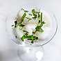 Citronsorbet med gin och mynta