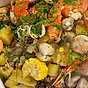Clambake New England style