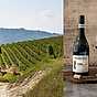 Enjoy Vin från Italien – header