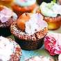 Enkla recept på muffins och cupcakes