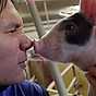 Filip Poon träffar världens sötaste gris