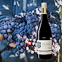 Fontanafredda Vintips från Piemonte briccotondo 2027