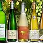 Gruner Veltliner kortbild