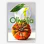 Olivolja bokomslag