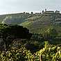 På väg till Italien? Här är vinerna att prova 1