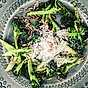 Råstekt broccoli med parmesanost, solroskärnor och olivolja