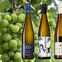Redaktionens bästa riesling - header