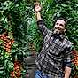 Så odlar du tomater som ”Tomatmannen” 15
