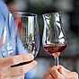 Så väljer du rätt glas till rätt vin