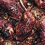 Sticky drumsticks med knaprigt skinn
