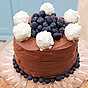 Very berry chocolate cake