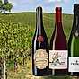 Vin från Italien - redaktionens favoriter header