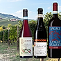 Vin från Piemonte – redaktionens 7 favoriter header