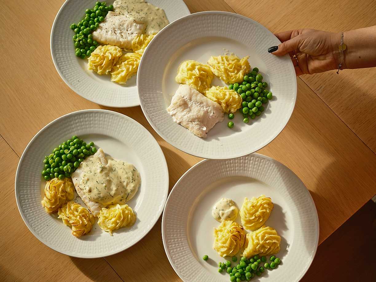 Bygg din egen fiskgratäng