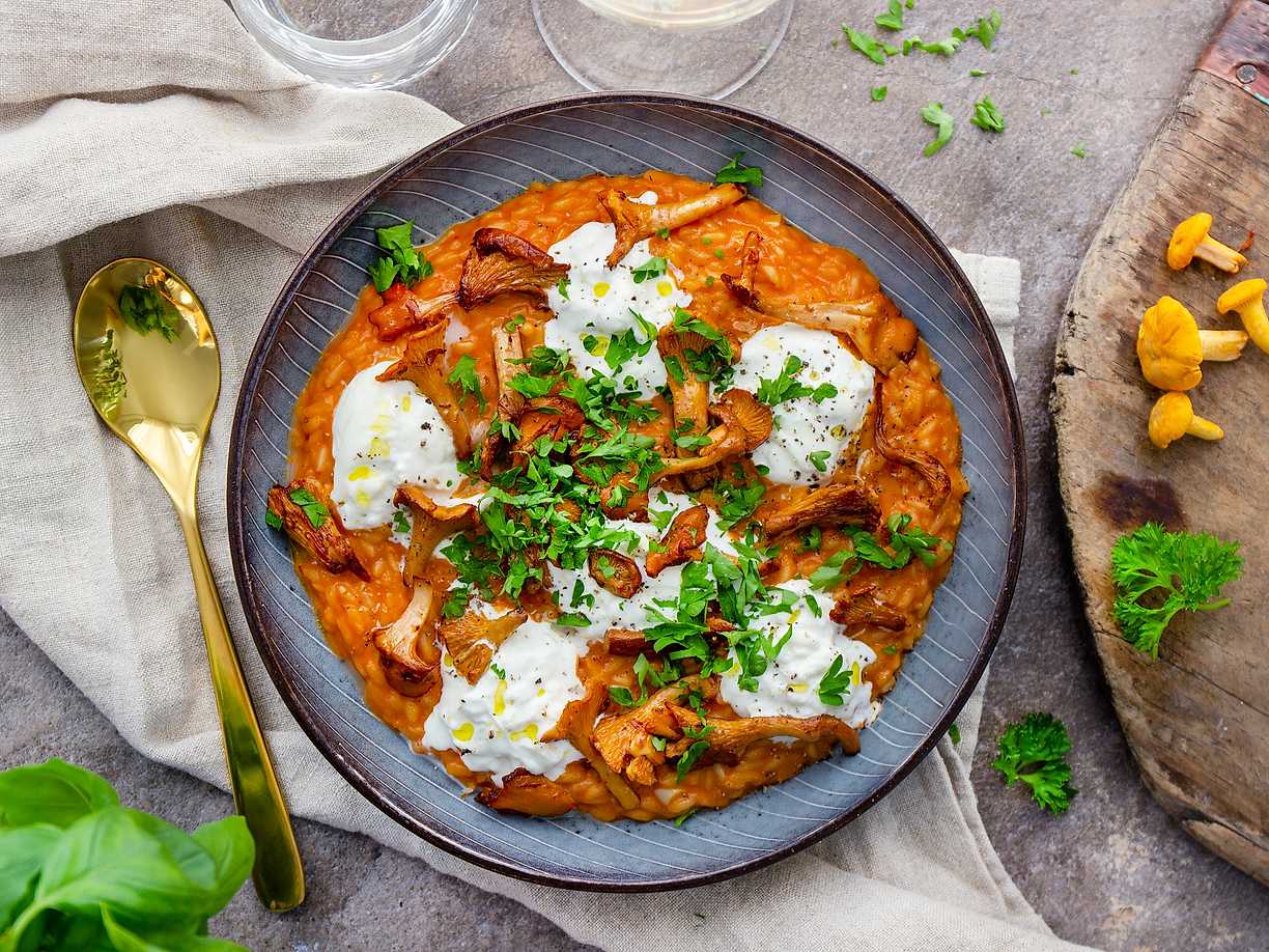 Vodkarisotto med smörstekta kantareller och burrata