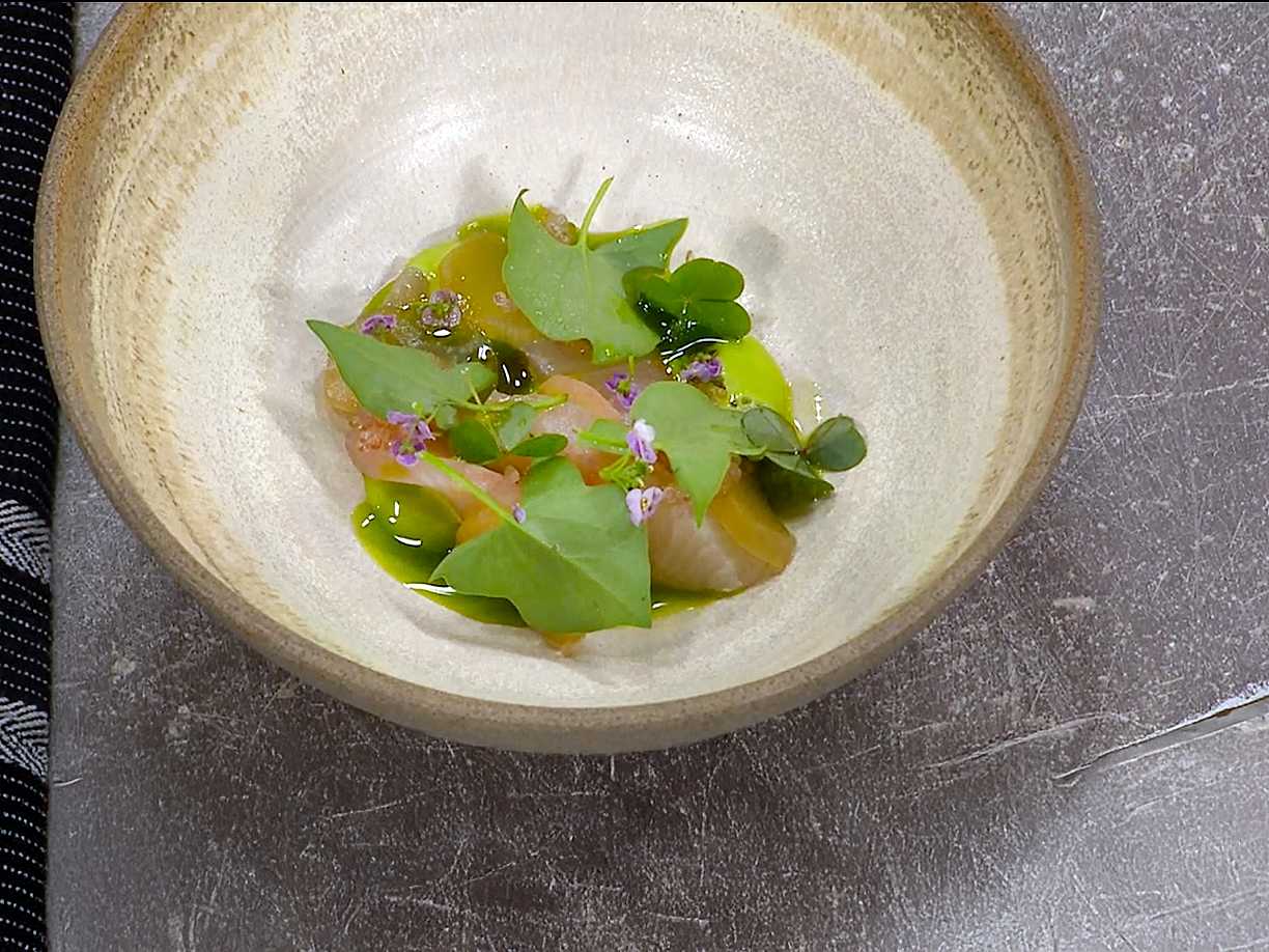 Crudo av hamachi med preserverad rabarber