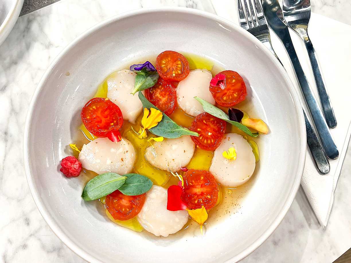 Crudo på pilgrimsmussla