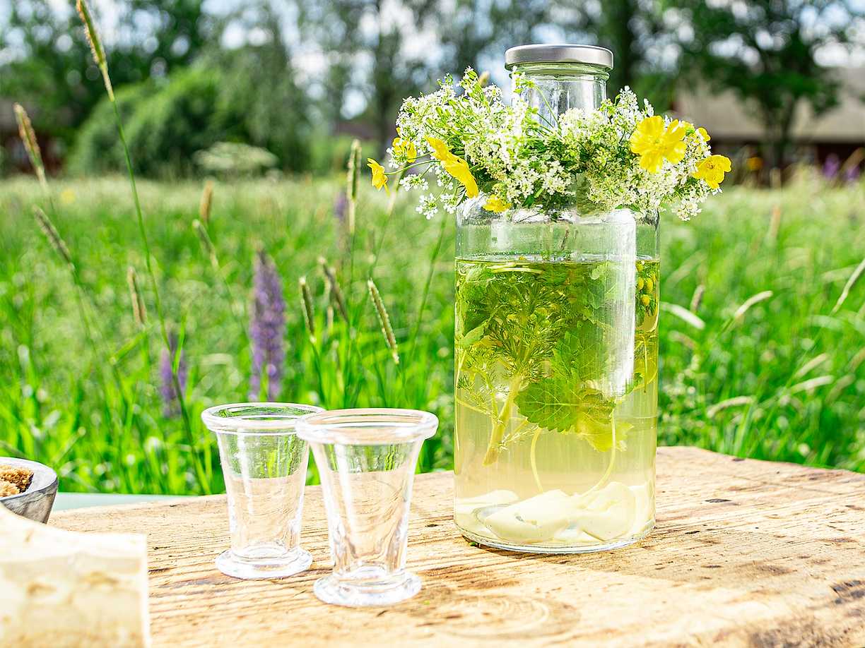 Ernsts midsommarsnaps