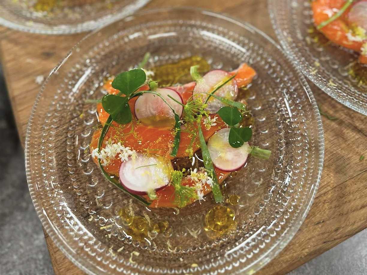 Försommarsallad med flädermarinerad regnbågslax, pepparrot och rädisor