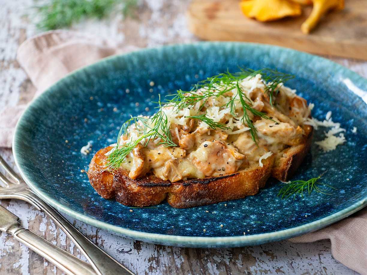 Bästa kantarellmackan