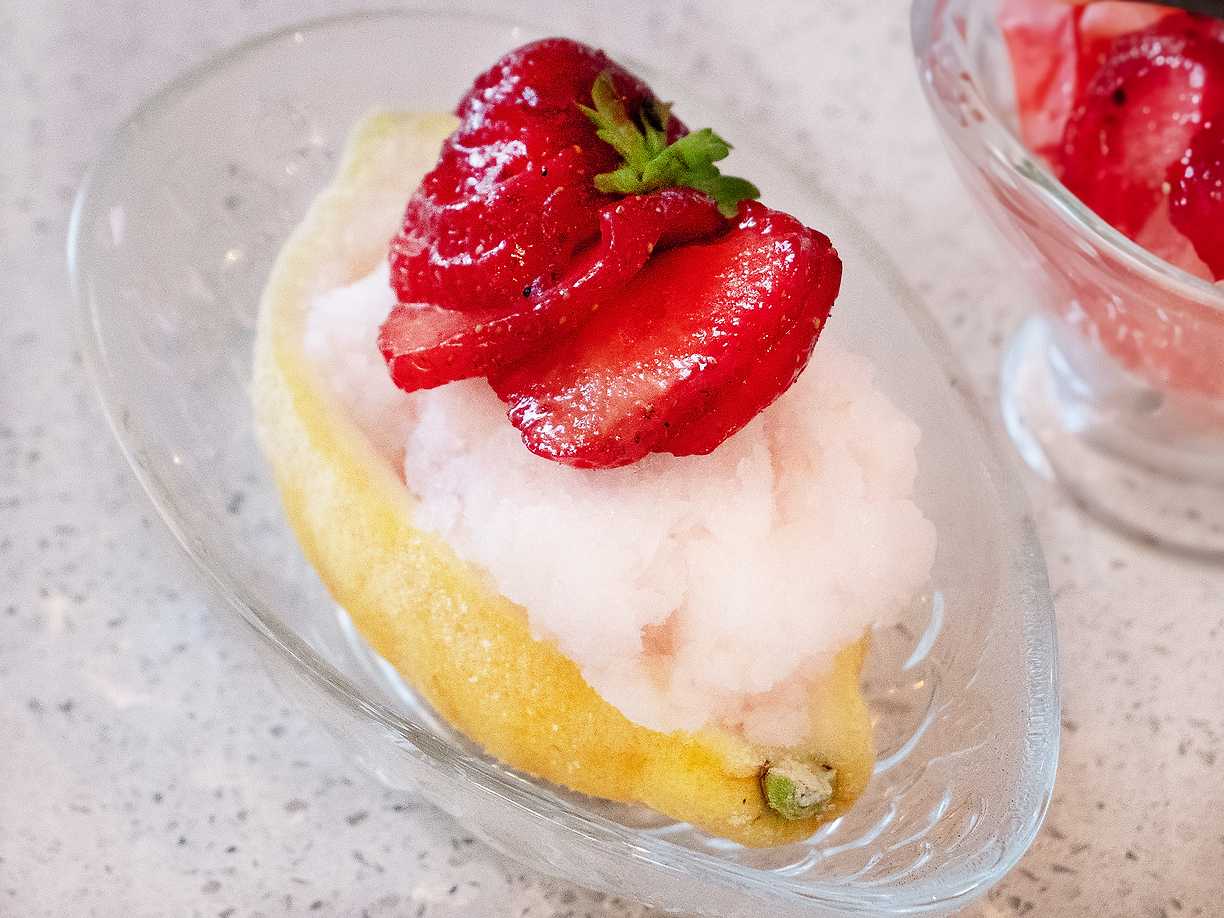 Gin och Tonic-sorbet