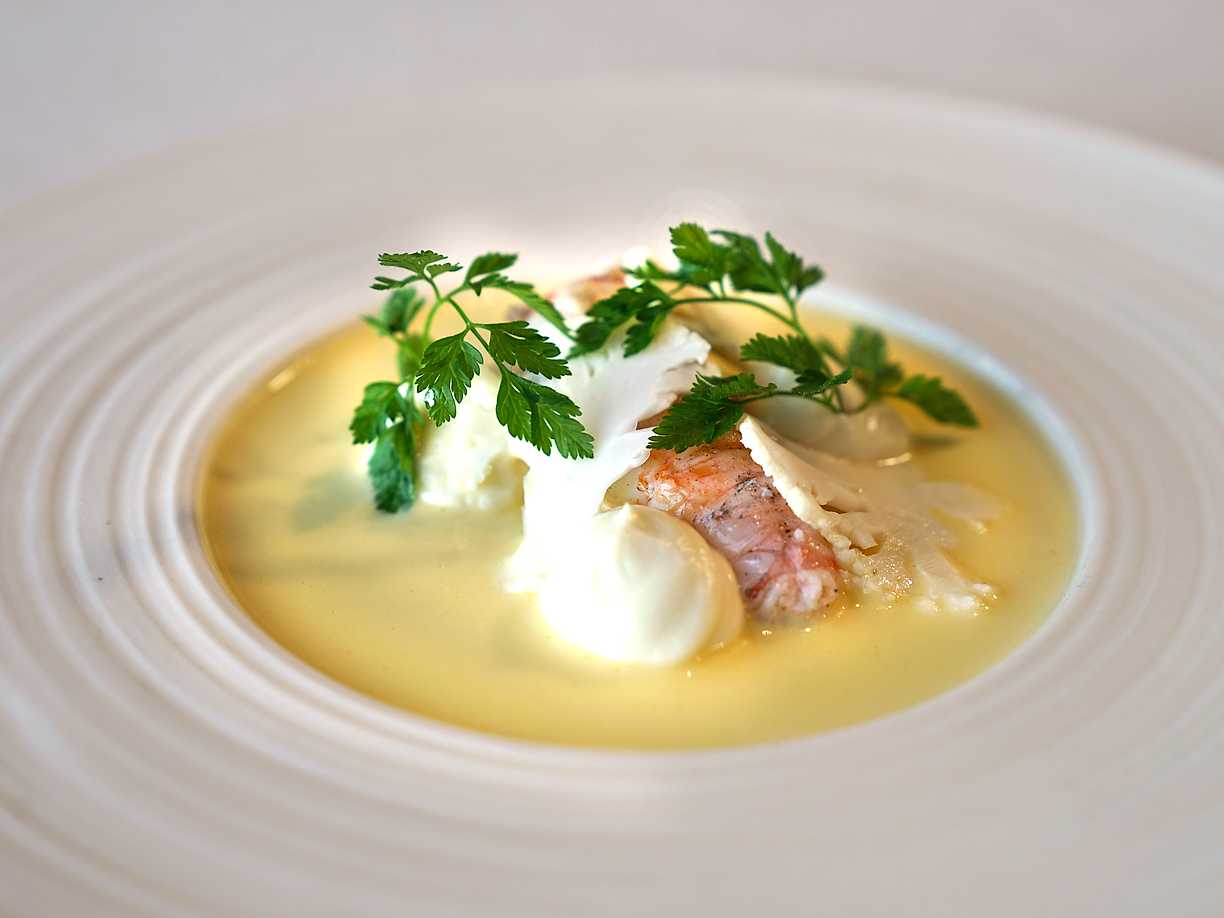 Grillad havskräfta med blomkålskräm, syrad blomkål och vitvinssås