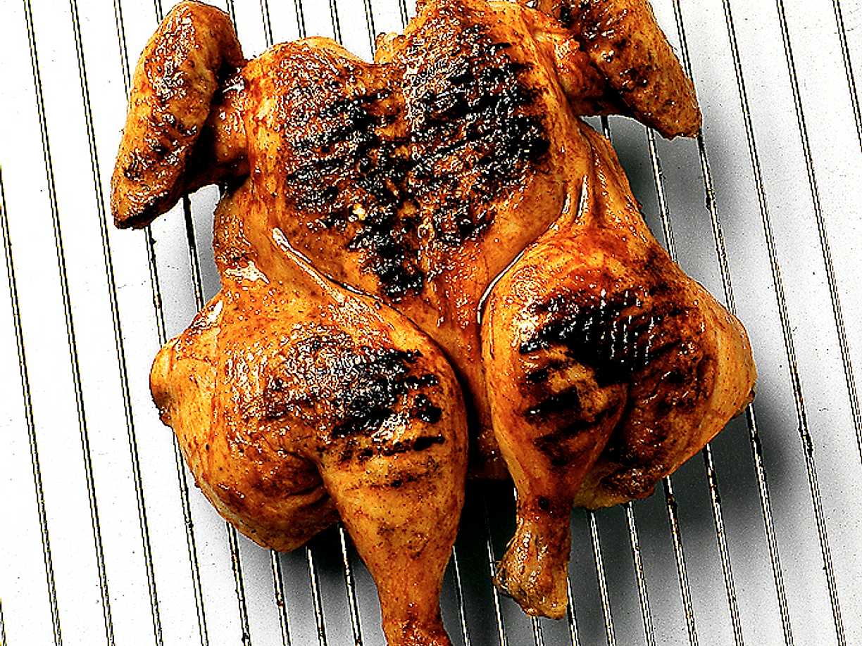 grillad kyckling i ugn