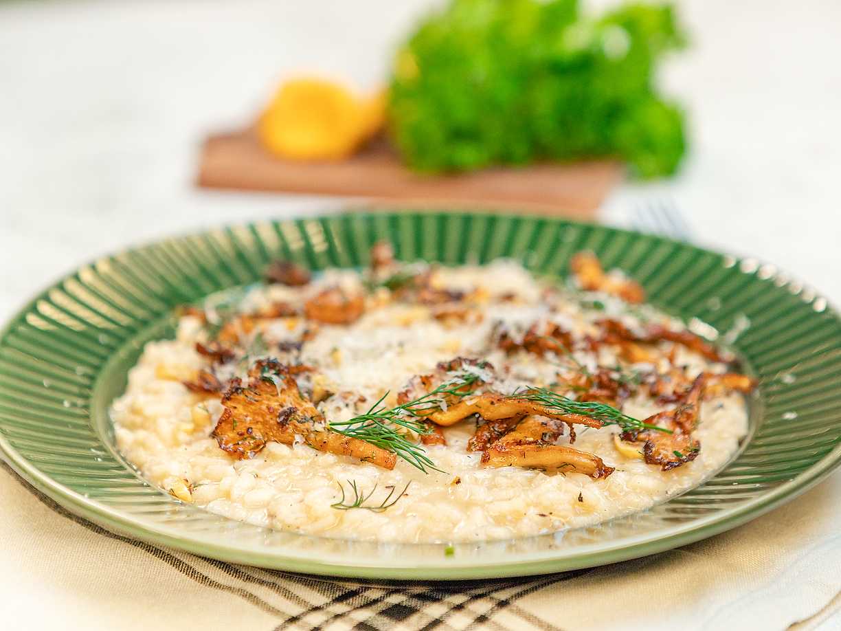 Kantarellrisotto med dill och hasselnötter