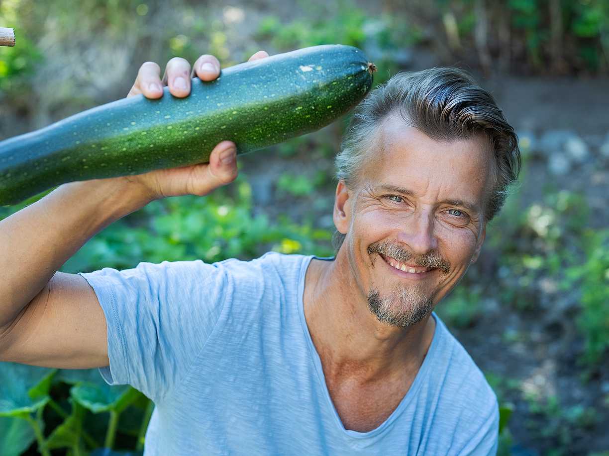 Kökets trädgård avsnitt 16 Odla zucchini Köket.se