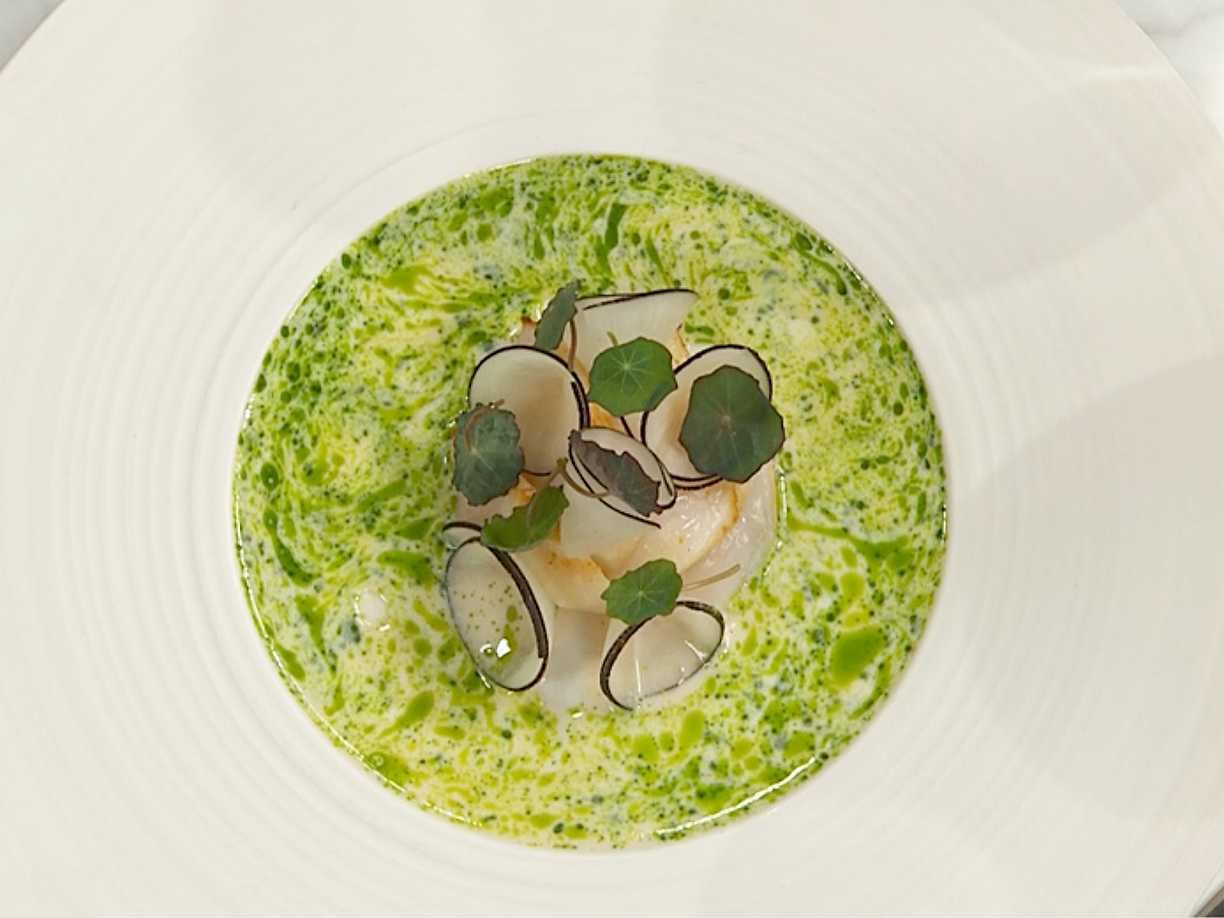 Lätthalstrad pilgrimsmussla