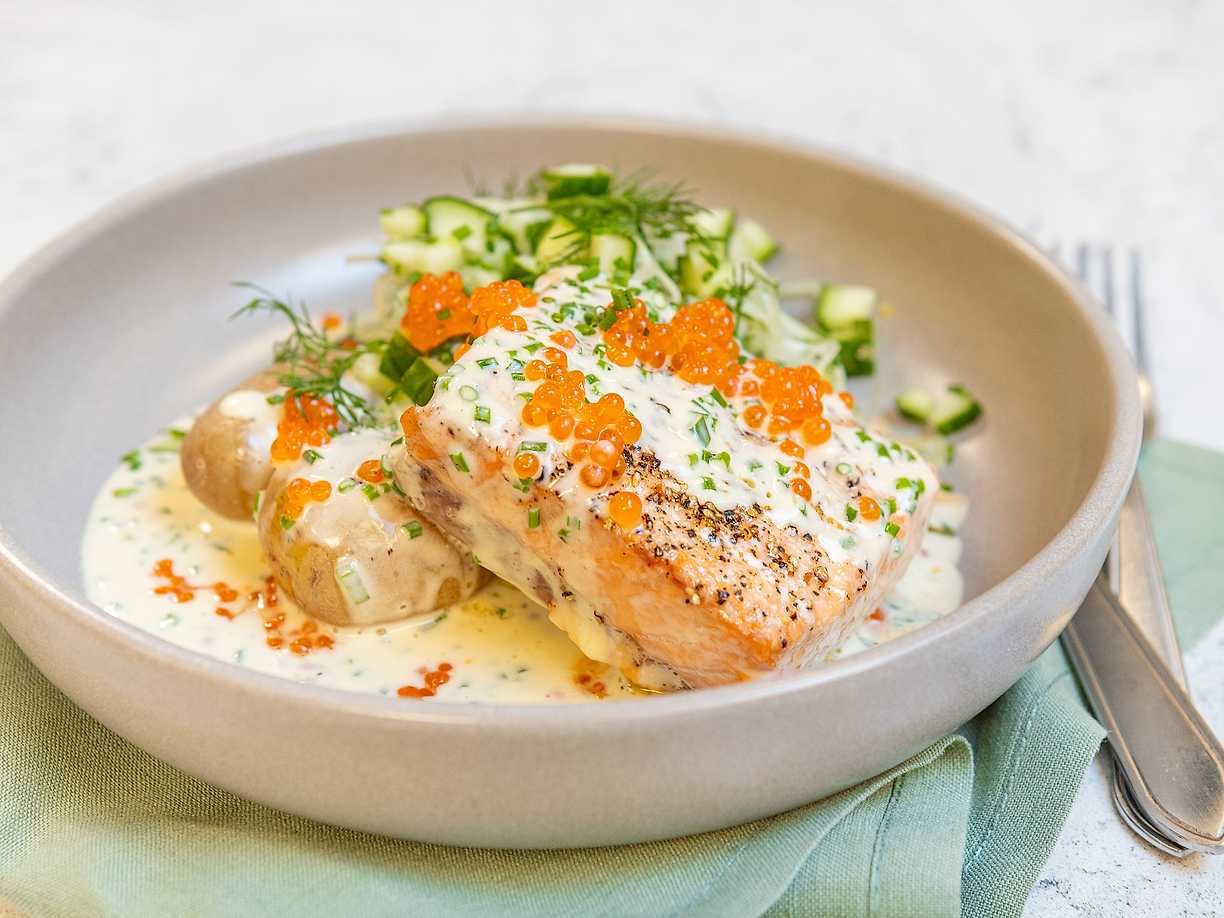 Lax med sandefjordsås och citronfänkål