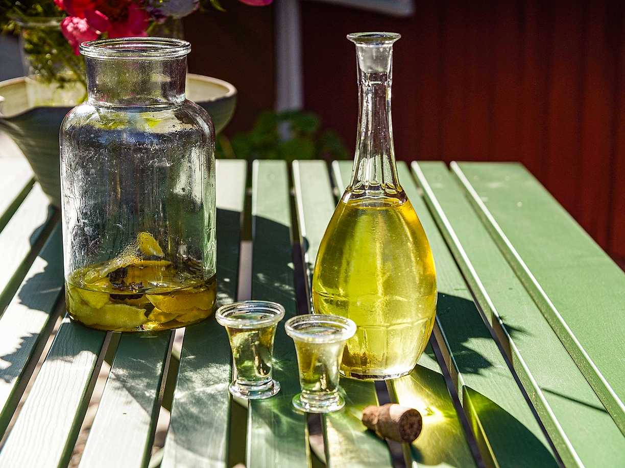 Limoncello med rosmarin och stjärnanis