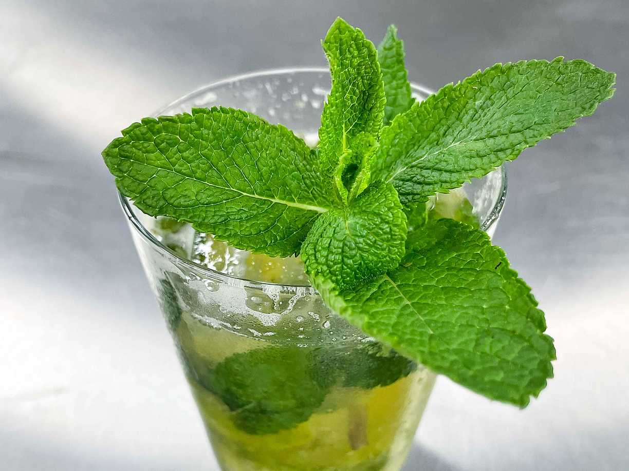 Plommondrink