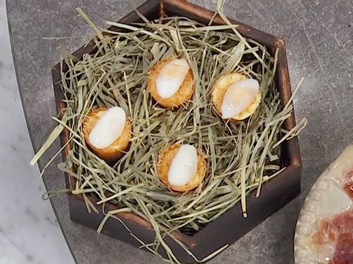 Krustad med pocherade vaktelägg och fläderhollandaise