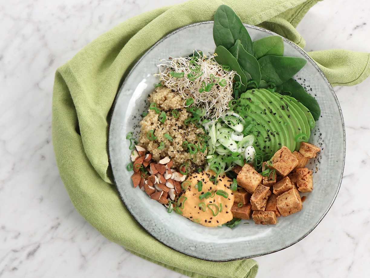 Quinoabowl Med Sojamarinerad Tofu Avokado Och Paprikahummus Koket Se