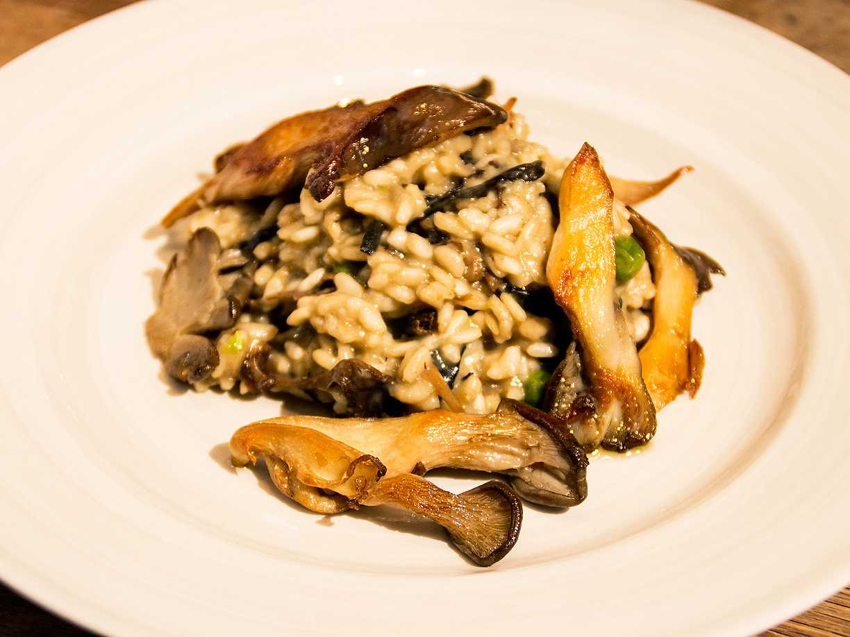 Risotto med trattkantareller, svart trumpetsvamp och ostronskivling