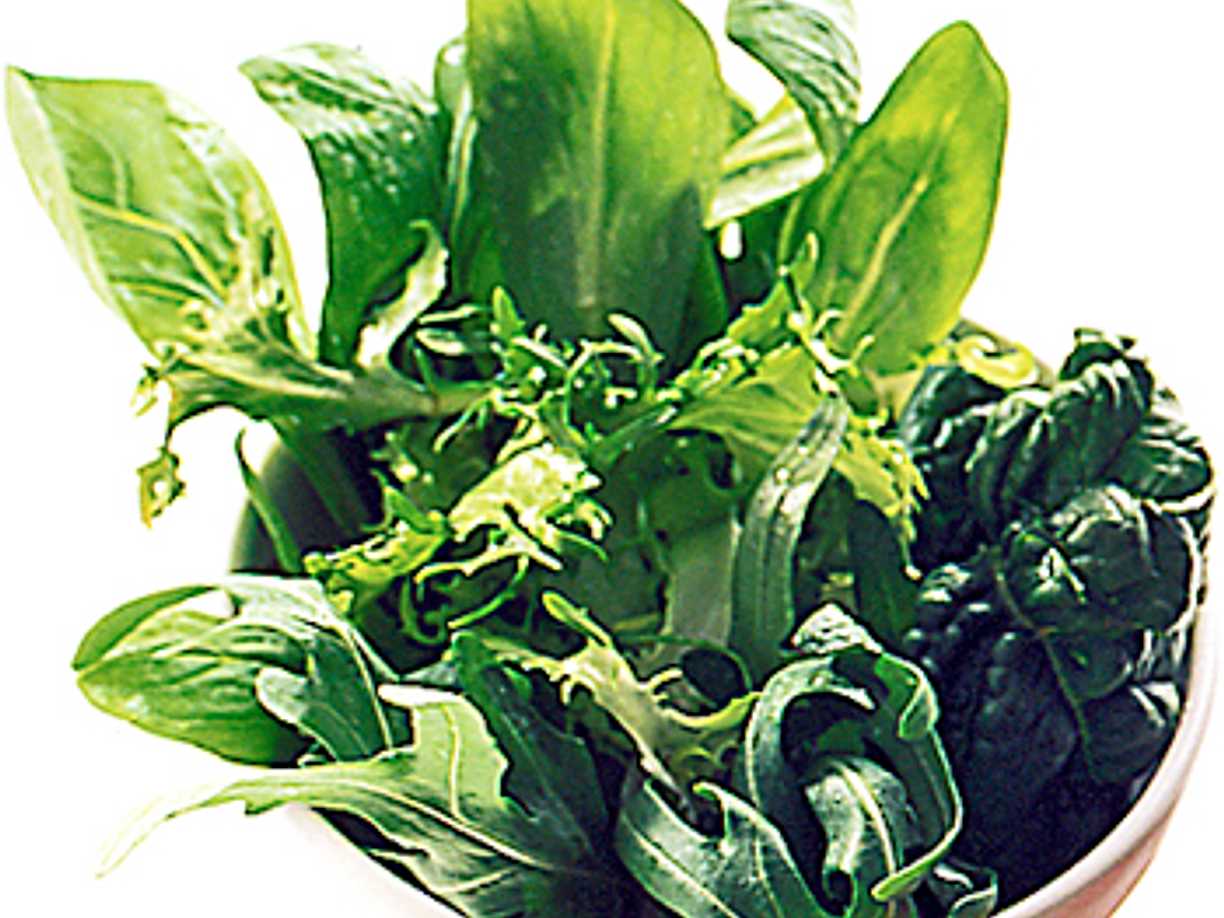 Sallad på gröna blad