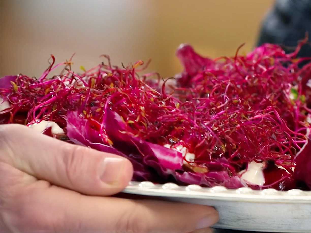 Sesamanka med lökkompott