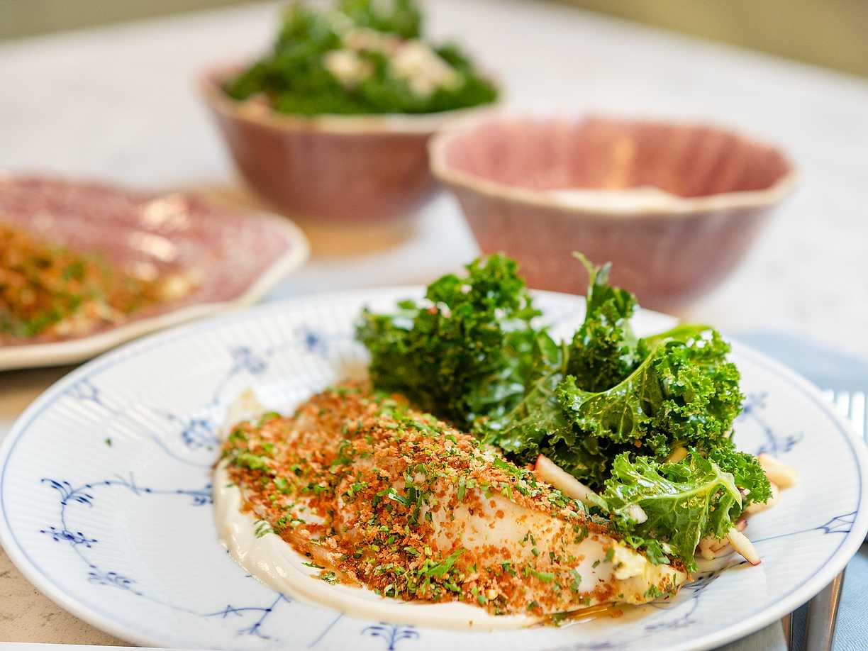 Smörstekt spetskål med tahiniyoghurt, kålsallad och örtcrunch