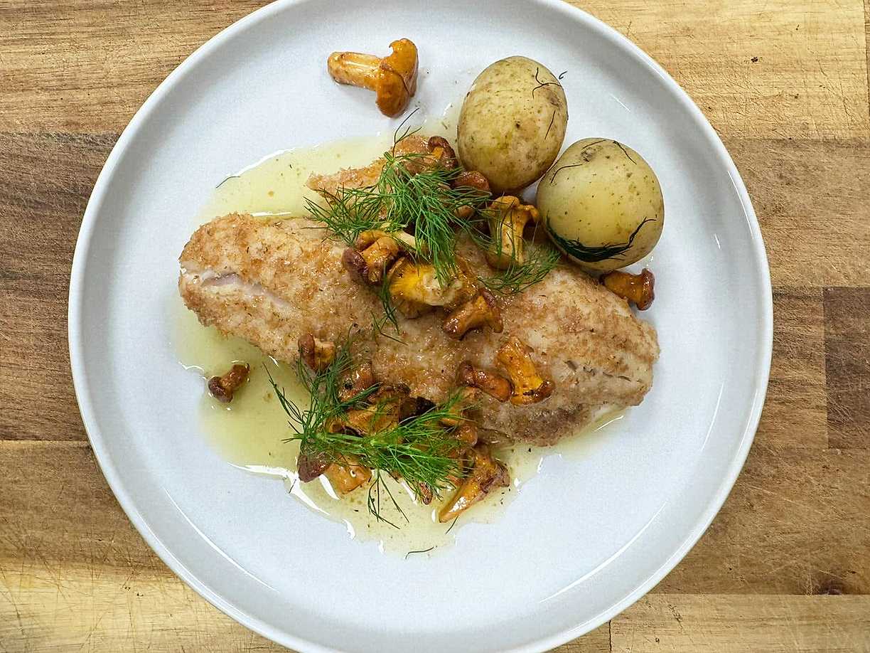 Stekt abborre med gräddnypta sommarkantareller
