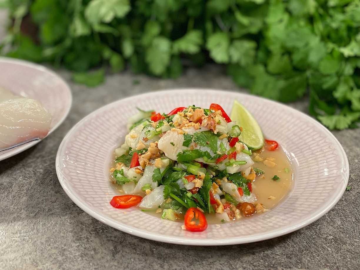 Vietnamesisk ceviche med koriander