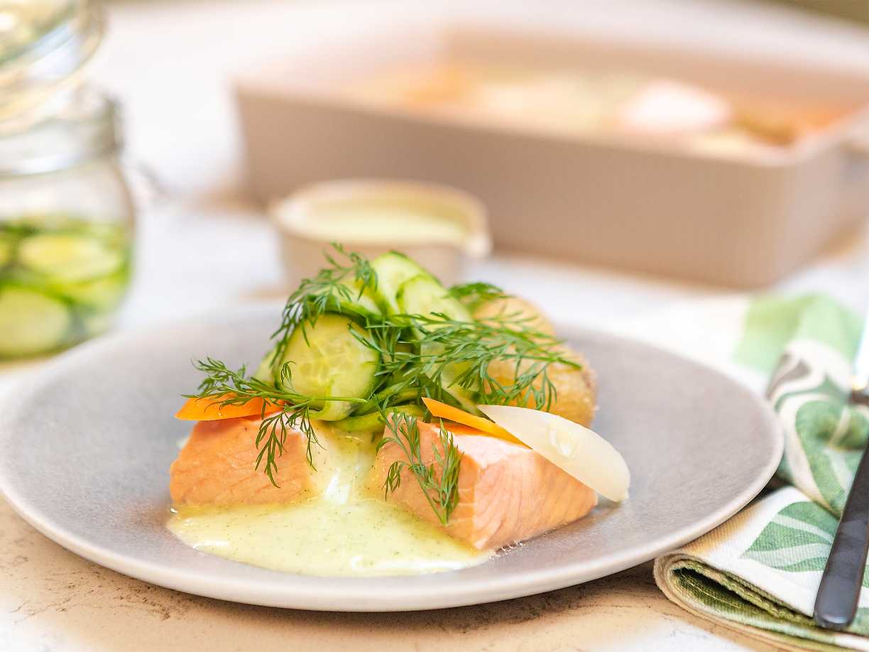 Vinägerinkokt lax med dillmajonnäs och pressgurka