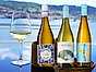 Albariño – redaktionens 5 favoriter